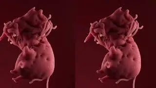 Organic Cloth | Softbody Simulation | Tutorial | Cinema4D | 2023