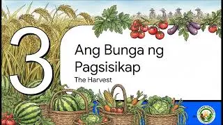 Proyektong Taniman ng Lucban Farmers Agriculture Cooperative