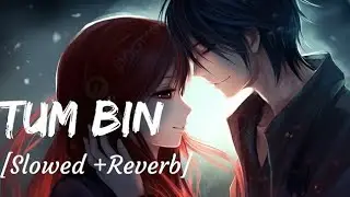 𝑻𝒖𝒎 𝑩𝒊𝒏 𝑴𝒂𝒊𝒏 𝑫𝒆𝒌𝒉𝒖 𝑻𝒐 𝑲𝒚𝒂 𝑺𝒆 𝒌𝒚𝒂 𝑯𝒐 | 𝑺𝒍𝒐𝒘𝒅𝒚 + 𝑹𝒆𝒗𝒆𝒓𝒃 | 𝑻𝒖𝒎 𝒃𝒊𝒏 𝒎𝒂𝒊𝒏 𝒍𝒐𝒇𝒊 𝒔𝒐𝒏𝒈 |