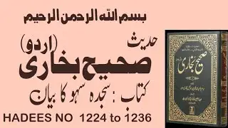Sahih Bukhari ||Hadith No. 1224 to 1236|| sajda e sahve|| Hadees with Urdu / Hindi translation||Nabi