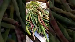 shelling peas Summer 2022