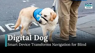 Shape: The Smart Navigation Device for the Visually Impaired | News Today | TSC | AI13