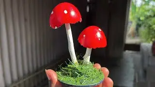 Egg shell mushroom craft | Reuse craft ideas | Black pulse |