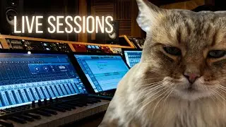 Live Sessions // 05 April 2025 // Speakeasy Presents