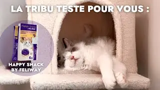 La tribu teste pour vous : Happy Snack by Feliway