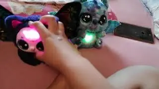Compare hatchimals alive  & bloomables by hatchmals 