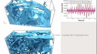 Multi-phase sloshing of water tank using OpenFoam and Paraview to post-process