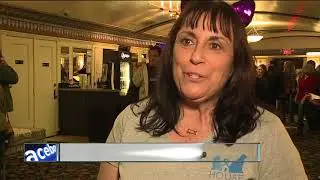 Feline-filled film fest at the Cedar Lee Theatre
