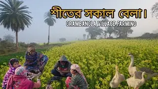 শীতের সকাল বেলা । #villagefarmingvlogs 