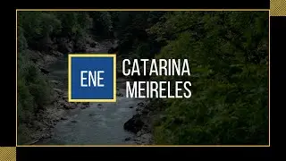 Desafios no Restauro de Habitats - O Caso das Rel&iacute;quias da Laurissilva Continental