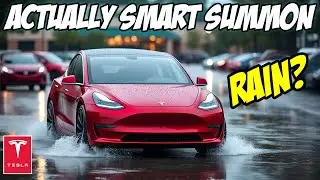 Does Tesla's Actually Smart Summon Work In The Rain?