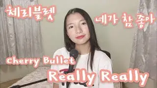 Cherry Bullet - Really Really COVER by MUA! 무아 + 中英韓字幕