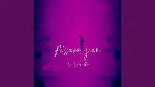 P&aacute;ssaro jian