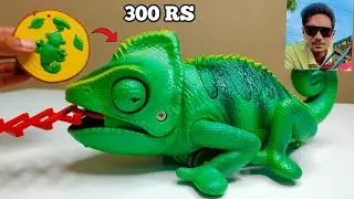 Rc Chameleon & Rc Elephant unboxing and Testing