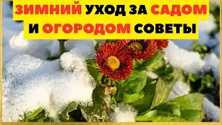 ВСЁ ДЛЯ САДА ЗИМОЙ &mdash; 100% ПОЛЬЗЫ