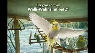 Der ganz normale Welli Wahnsinn Teil 21