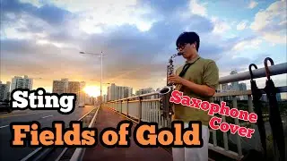 Sting - Fields Of Gold [SAXOPHONE COVER]
