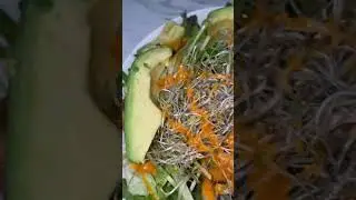 Hearty Salad Inspired by Health Nut !