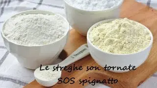 GELIFICANTI: GEL DI XANTANA - SOS Spignatto