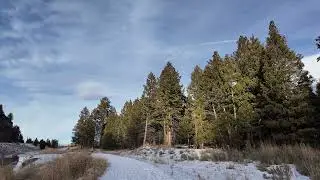 Afternoon winter run along the creek