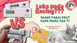 OBAT SALEP YANG AMPUH UNTUK LUKA PADA KUCING
