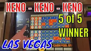 5 of 5 WINNER at the railroad pass casino in Las Vegas Playing the same numbers the entire session￼
