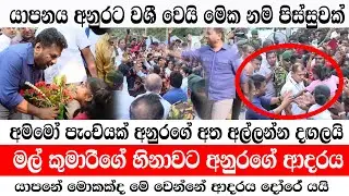 පැංචියක් අනුරගේ අත අල්ලන්න දඟලයි /යාපනය අනුරට වශී වෙයි/බලන්නම වටින අලුත්ම දර්ශන/@ADARATANEWS