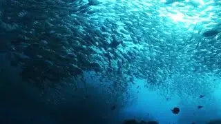 Chumphon Pinnacle, Koh Tao, Thailand - RX100 & Ikelite W30 Wide Angle