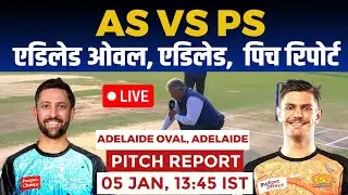 STR vs SCO BBL Pitch Report: Adelaide Oval Adelaide pitch report, Adelaide Pitch Report, AS vs PS