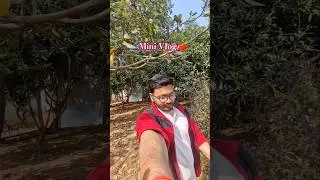 Meet My Tomato Plants 🍅 | Greenhouse Mini Vlog | NISER