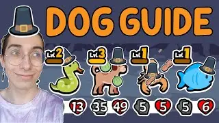 Dog Build Guide! (Super Auto Pets Strategy Guide)