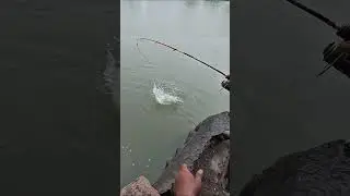 Fishing in the Rainy Season 2026