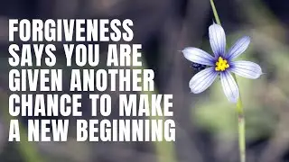 Buddha Forgiveness Quotes |Greatest thoughts on Forgiveness - Quotes | Buddha Quotes |