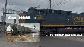 Csx Grain train and M688 on the indy terminal today