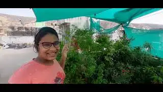 Happy Earth day | Importance of Earth Day | Save Environment | Go Green | SafeTrees | Stop pollution