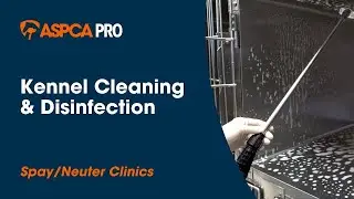 Spay/Neuter Clinic Disease Prevention: Kennel Cleaning & Disinfection