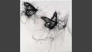 BUTTERFLIES (feat. Quiet)