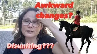 EQUESTRIANS - Can't get clean flying changes?  Try this!