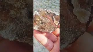 Agate drusy XS1