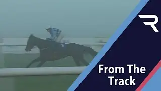 Whoosh!  Eabha Grace is from a good family and impresses on her debut for Willie Mullins - Racing TV