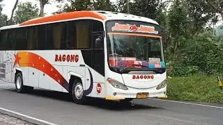 Hunting siang po M trans,sinar jaya,rosalia,ALS,bagong lintasi jalur lahor
