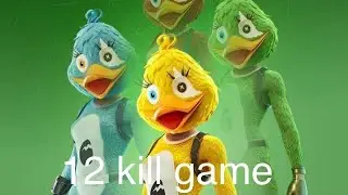 Fortnite_New Quackling skin 12 killz