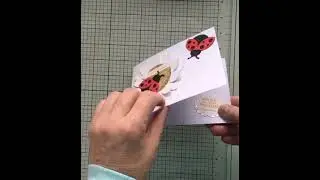 Ladybug builder punch Stampin' Up!