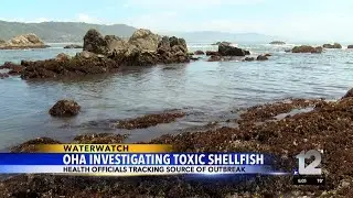 Oregon Health Authority investigating toxic shellfish