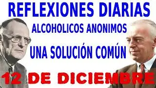 reflexiones diarias de alcoholicos anonimos |12 de diciembre | UNA SOLUCI&Oacute;N COM&Uacute;N