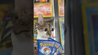 La raret&eacute; des cartes Pok&eacute;mon #pok&eacute;mon #pokemontcg #brindiquest