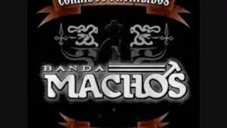 Banda Machos-Aun Estoy Loco