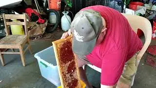 8 13 25 Process Honey Frames