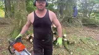 Stihl MS 362 CM Preparing woods for the winter