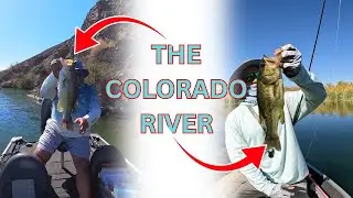 Fishing My Favorite Section of the Colorado River! - Parker Strip